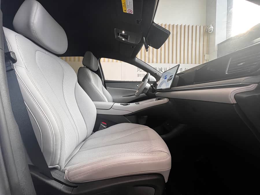 BYD Sea Lion 06 New Energy 2025 car image #16