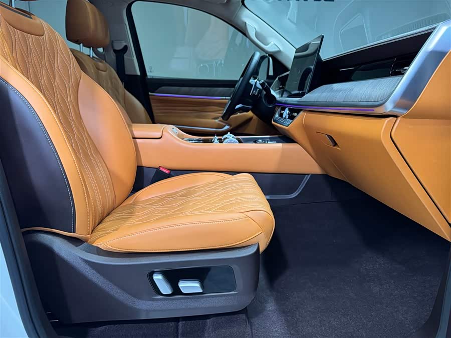 Tank 500 New Energy 2025 car image #16