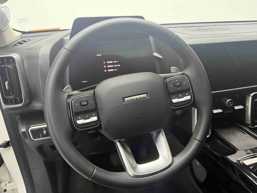 Haval X Dog / Dargo 2021 #16 Haval X Dog / Dargo 2021 car image #16