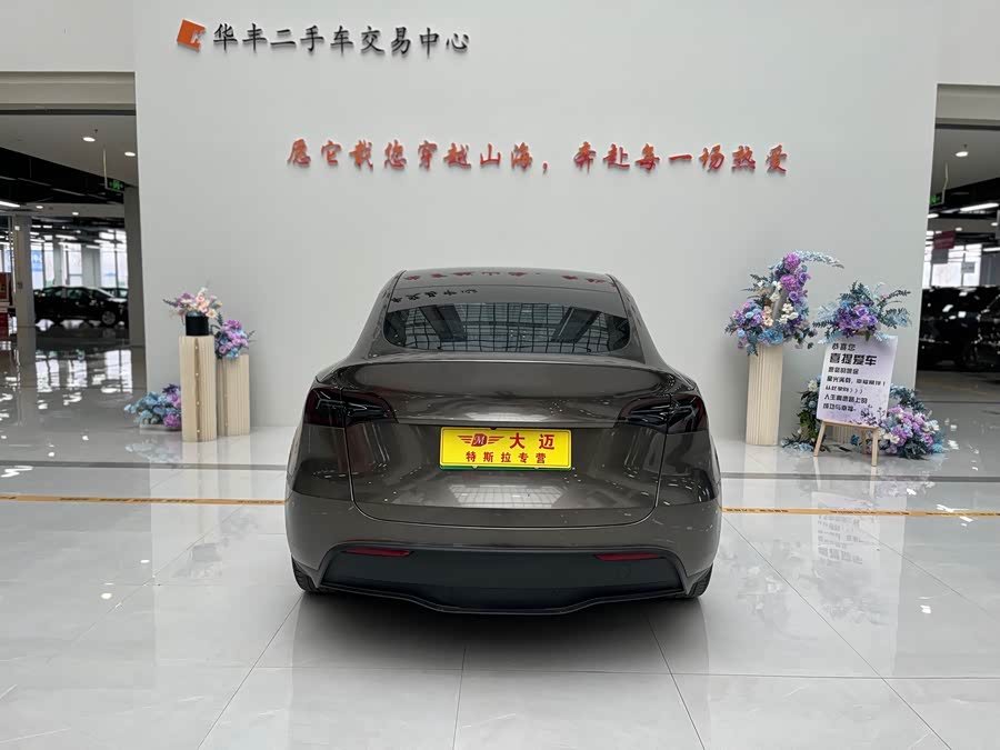 Tesla Model Y 2022 car image #16