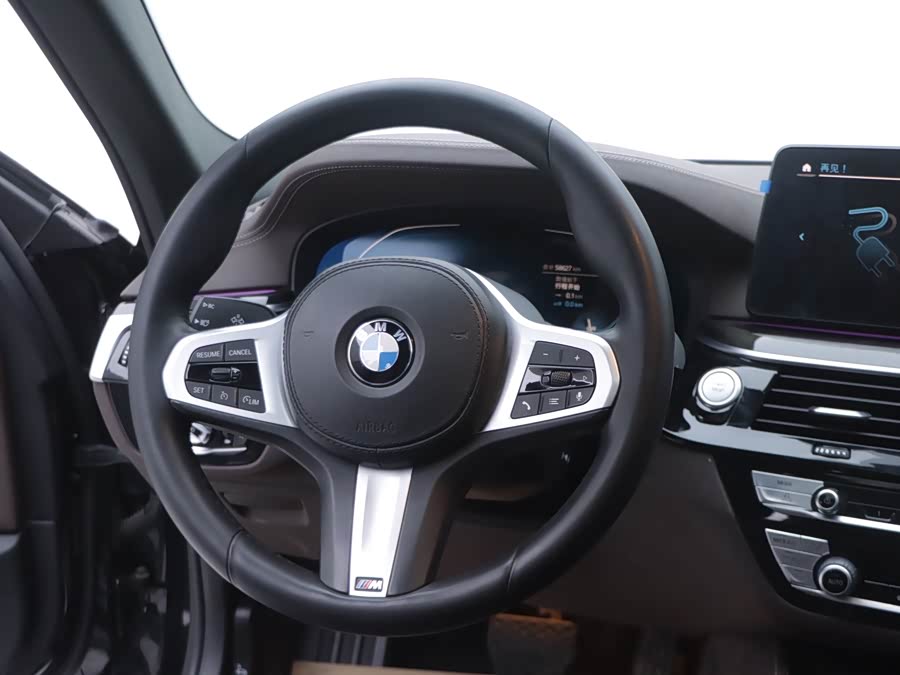 BMW 5 Series New Energy 2021 car image #16