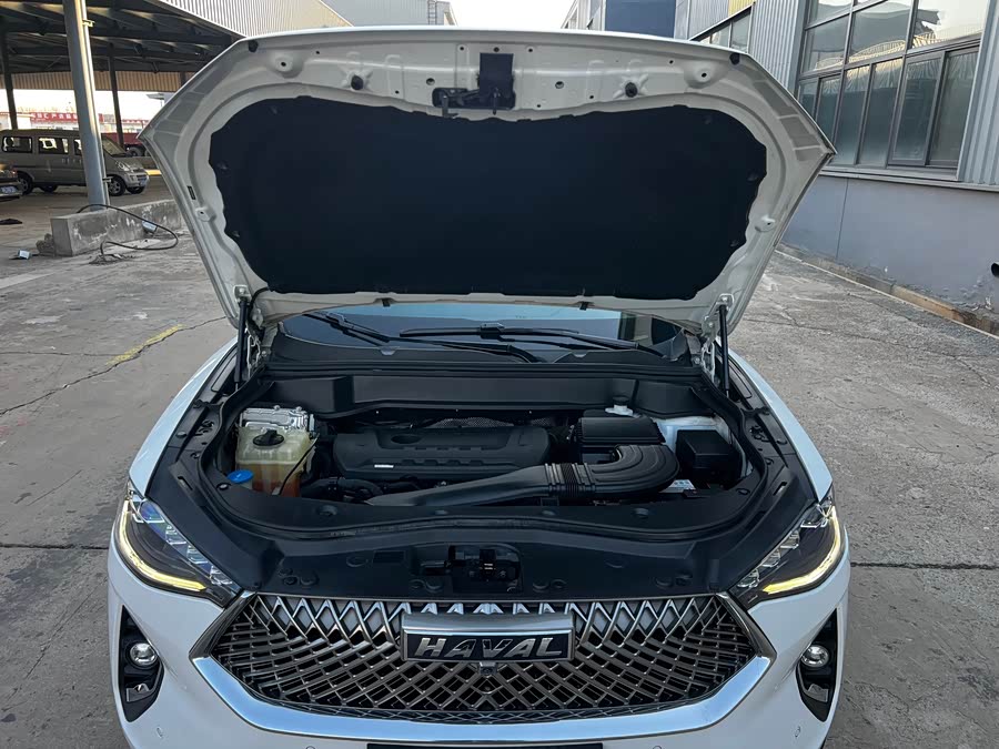Haval F7 2021 car image #16