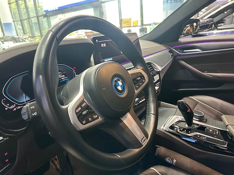 BMW 5 Series New Energy 2021 car image #16