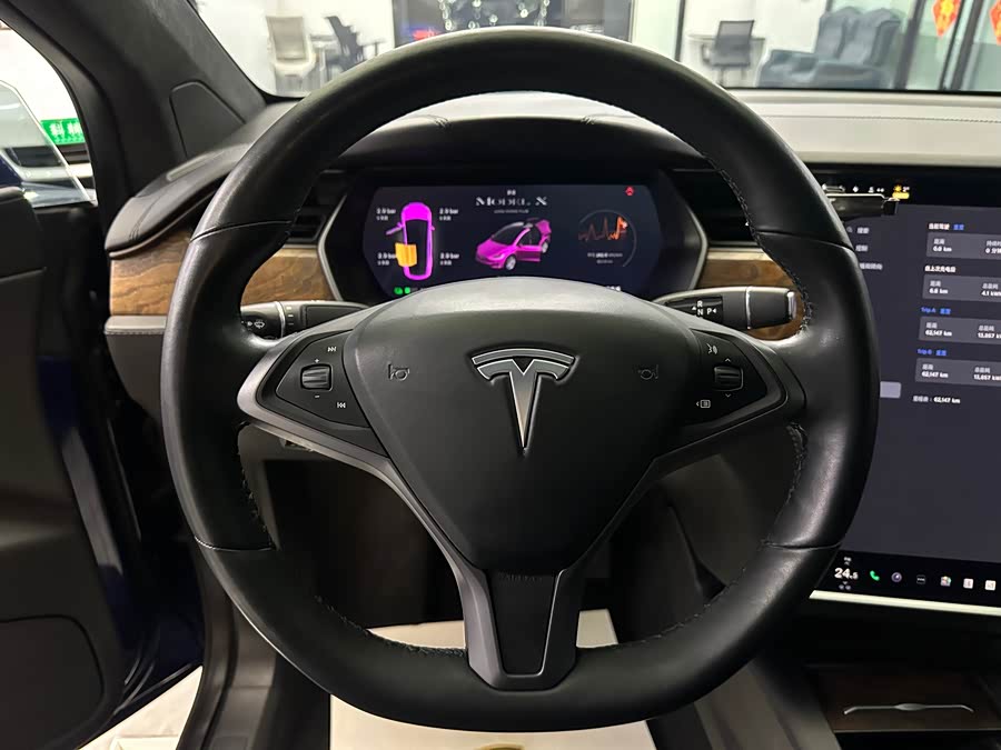 Tesla Model X 2021 #16 Tesla Model X 2021 car image #16
