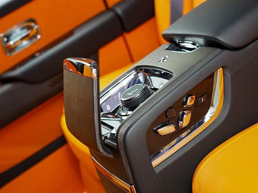 Rolls-Royce Cullinan 2019 car image #16