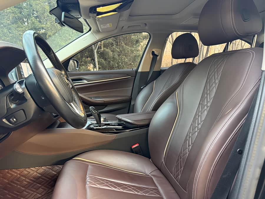 BMW 5 Series New Energy 2020 car image #16