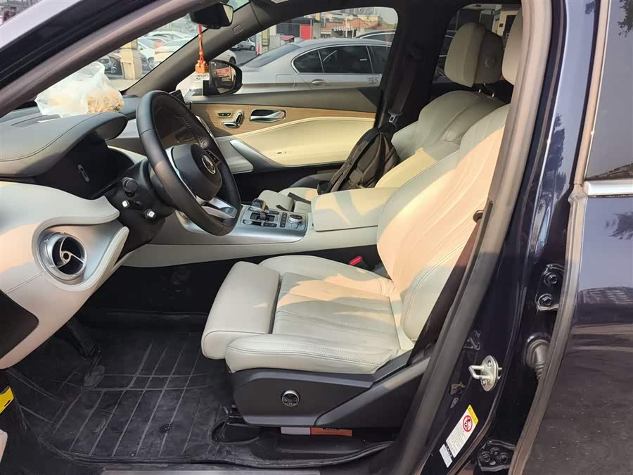 Denza X 2020 изображение автомобиля #16