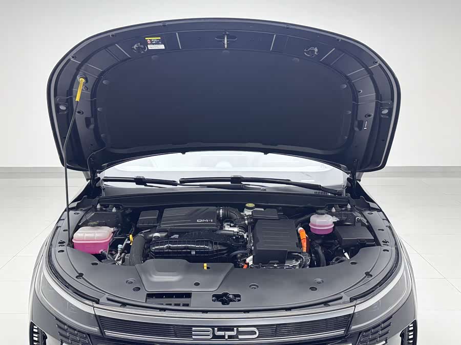 BYD Destroyer 05 2025 car image #16