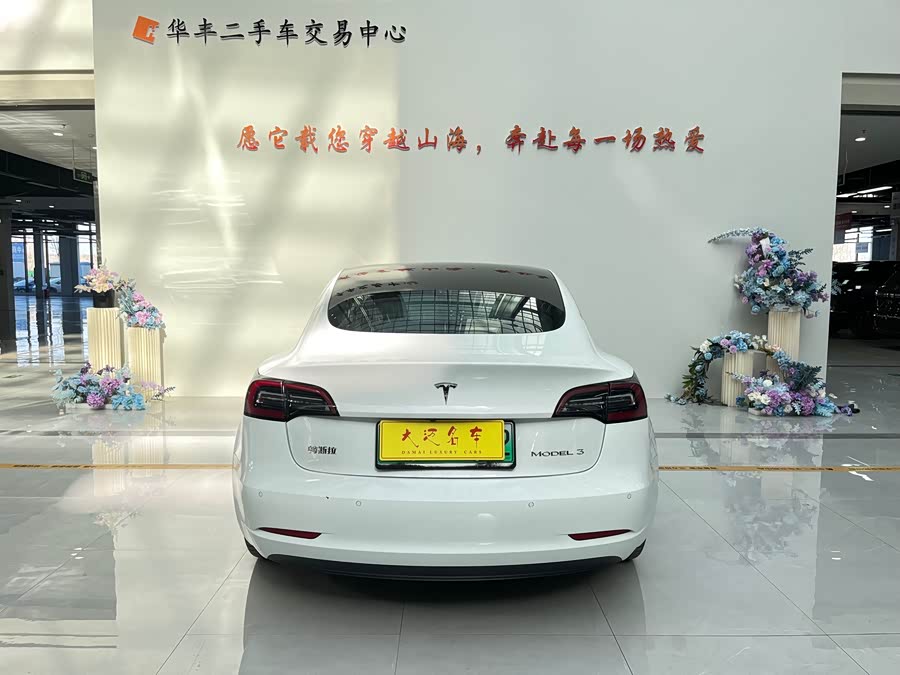 Tesla Model 3 2020 #16 Tesla Model 3 2020 car image #16