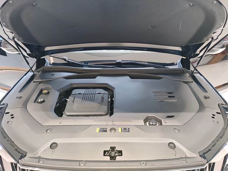 GAC Trumpchi GS8 2022 car image #16