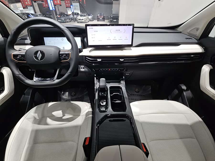 睿蓝汽车 睿蓝9 2024 汽车图片 #16