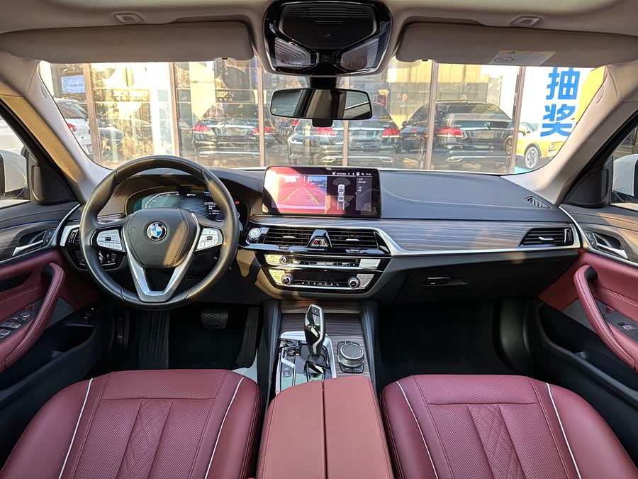 BMW 5 Series New Energy 2020 car image #16