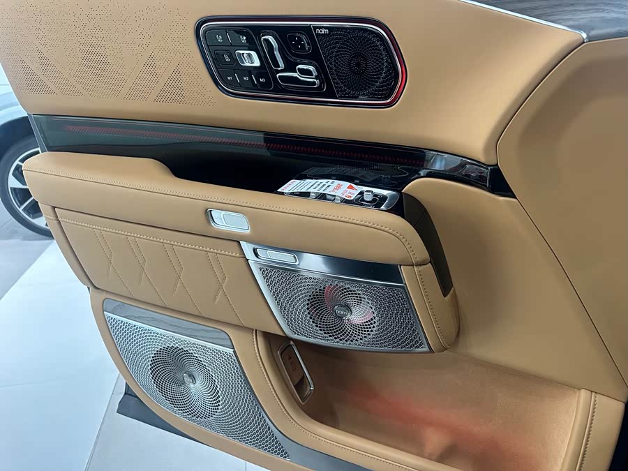 Zeekr 9X 2025 car image #16
