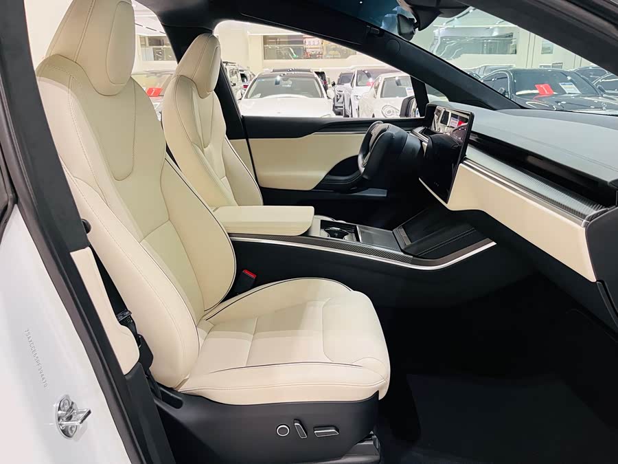 Tesla Model X 2023 car image #16