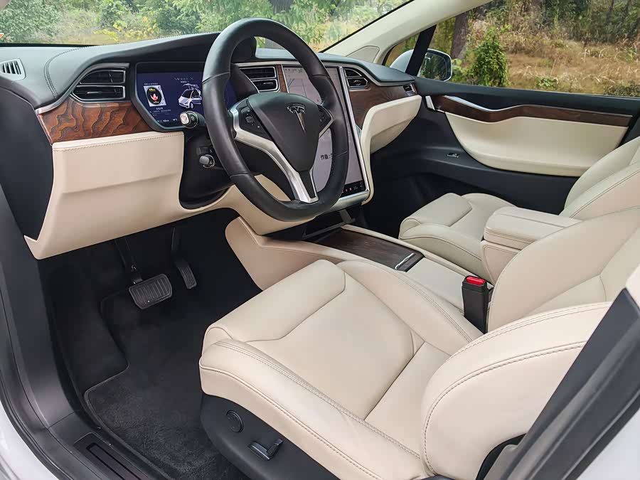 Tesla Model X 2018 immagine di auto #16