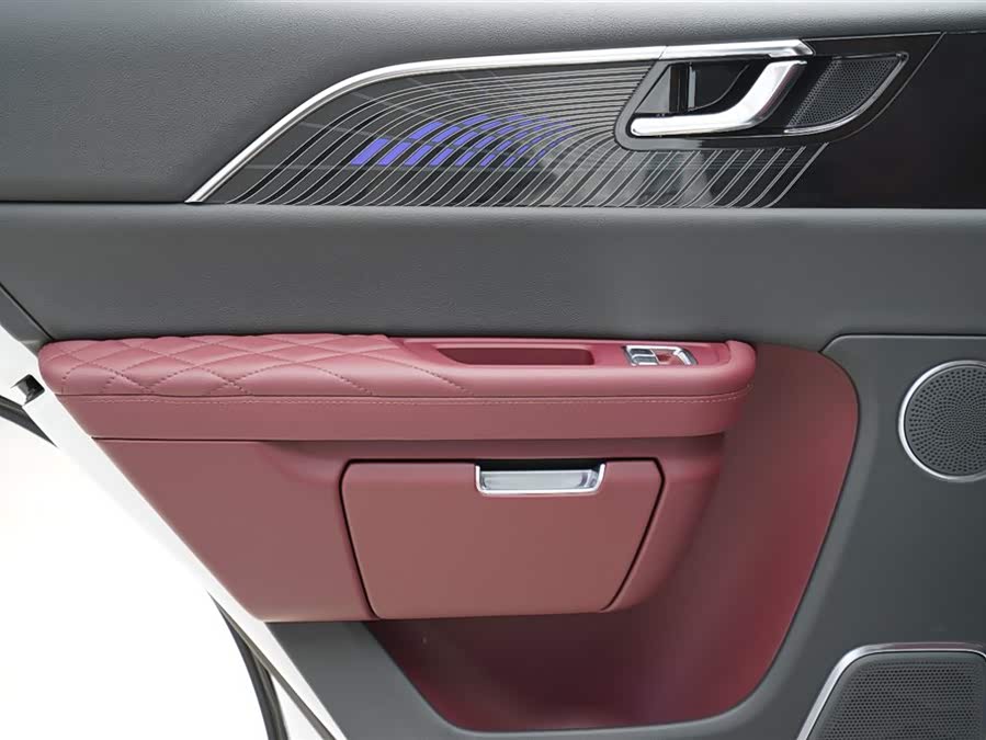 HongQi E-HS9 2022 immagine di auto #16