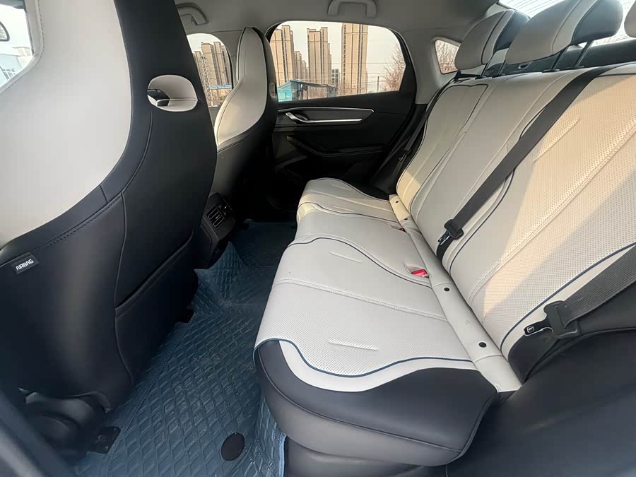 BYD Destroyer 05 2024 car image #16