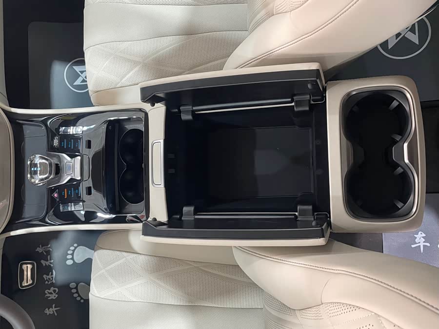 Denza D9 2025 imagen de coche #16