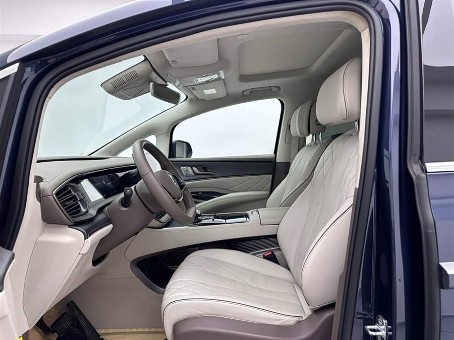 Denza D9 2022 car image #16