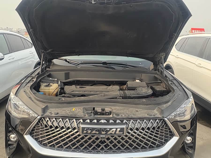 Haval F7 2020 #16 Haval F7 2020 car image #16