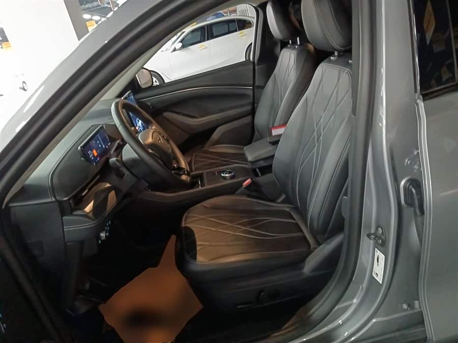 Ford Mustang Mach-E 2022 car image #16