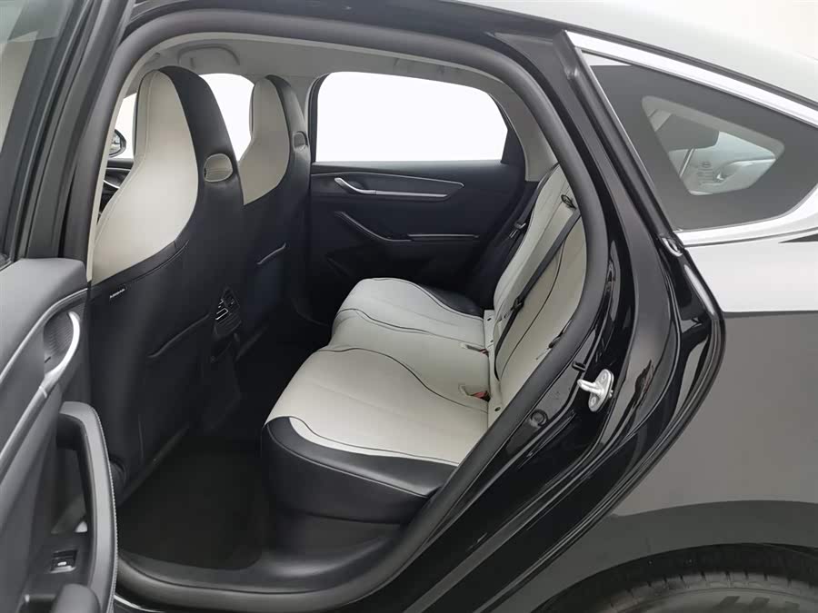 BYD Destroyer 05 2023 car image #16