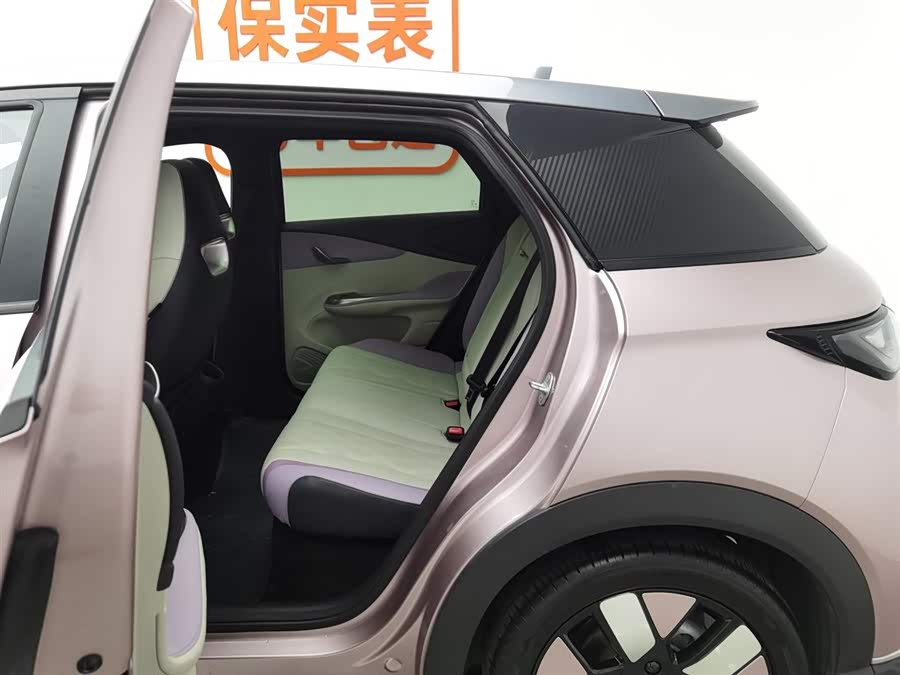 BYD Dolphin 2023 car image #16