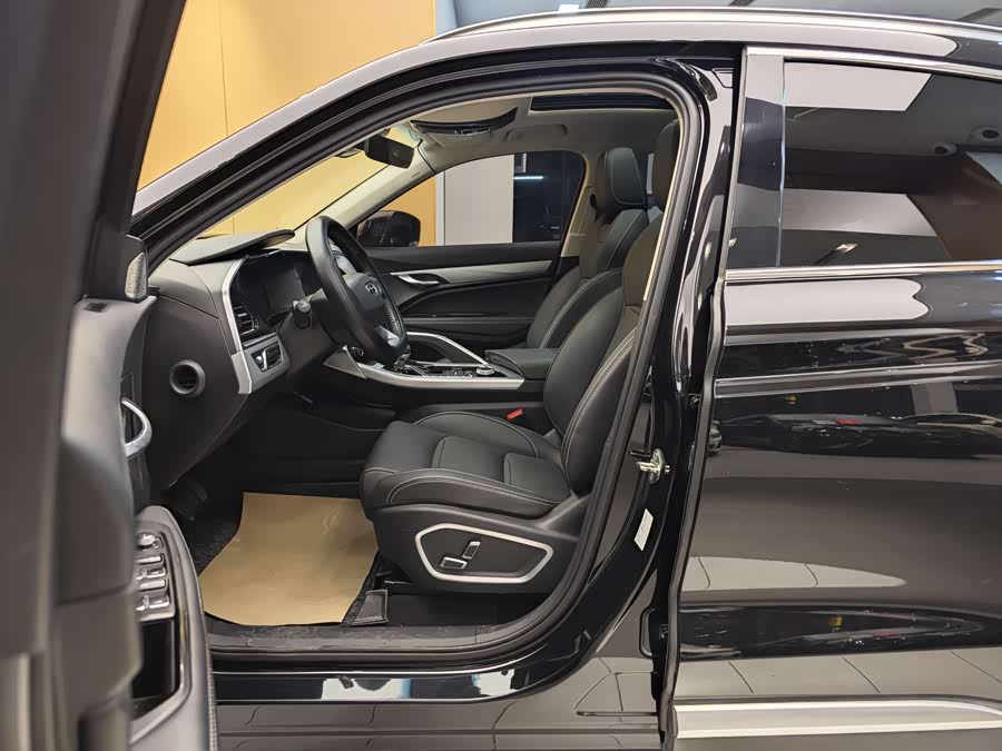 GEELY Tugella New Energy 2020 #16 GEELY Tugella New Energy 2020 car image #16