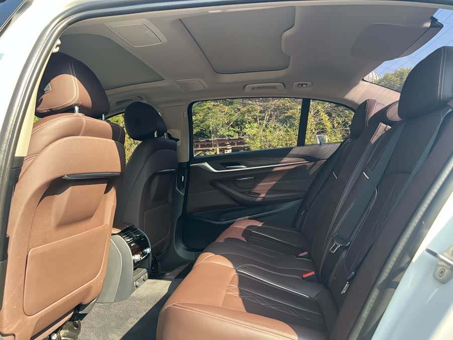 BMW 5 Series New Energy 2019 car image #16