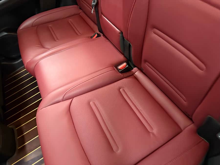 GAC Trumpchi GS4 PLUS 2022 car image #16