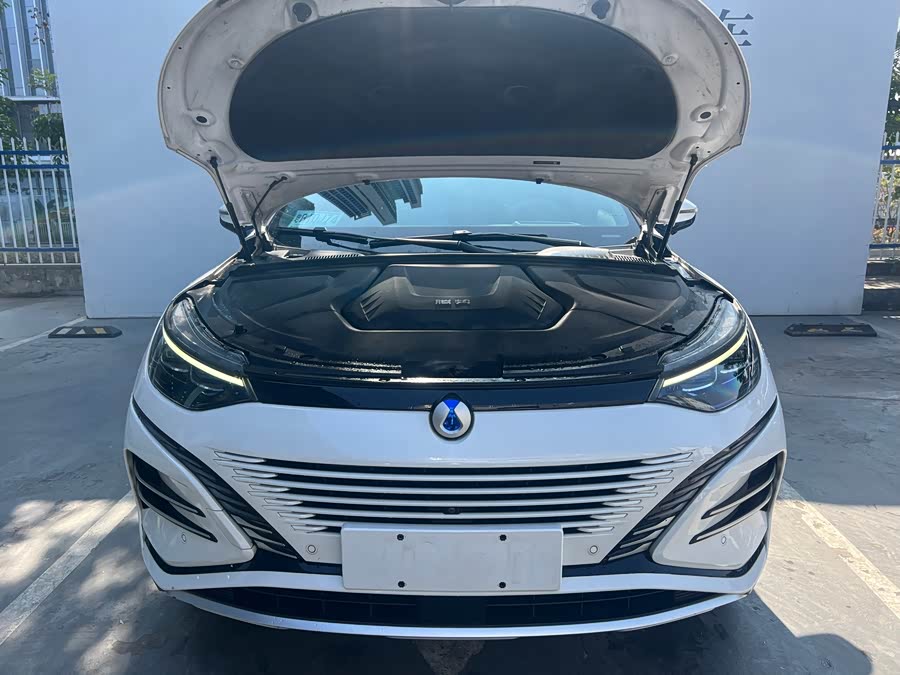 Denza N8 2023 car image #16