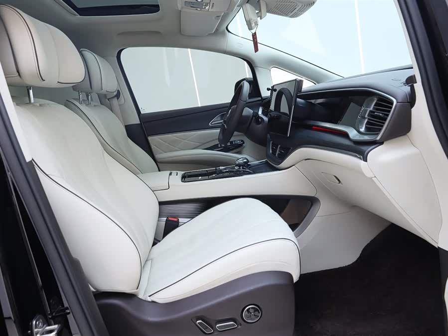 Denza D9 2024 car image #16