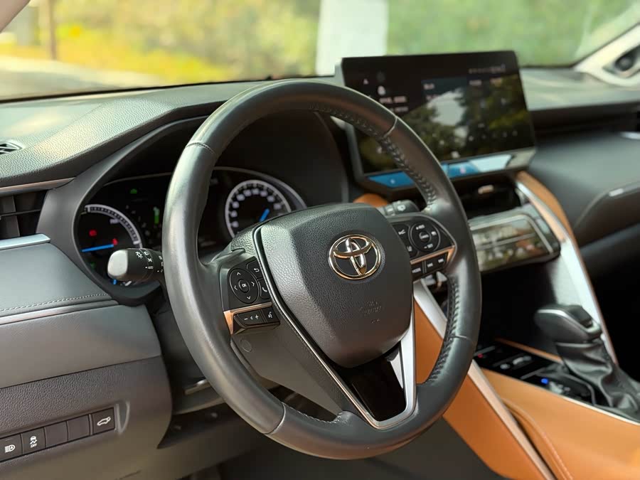 Toyota Venza 2023 immagine di auto #16