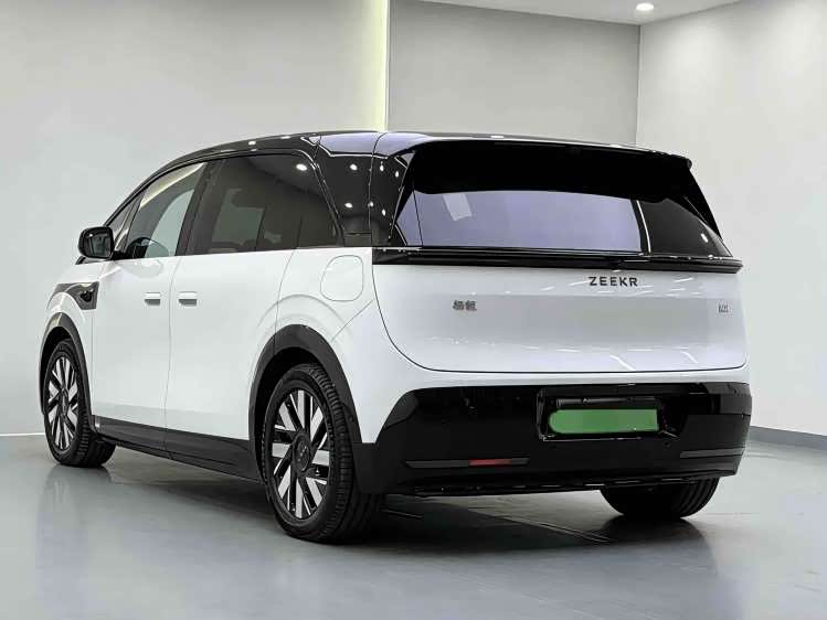 极氪 极氪MIX 2024 汽车图片 #16