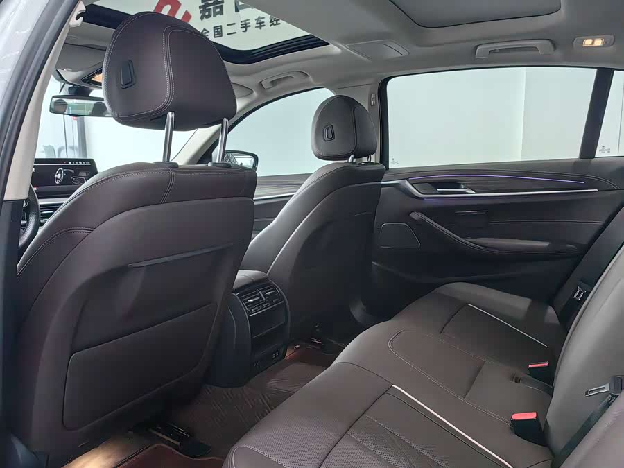 BMW 5 Series 2021 car image #16