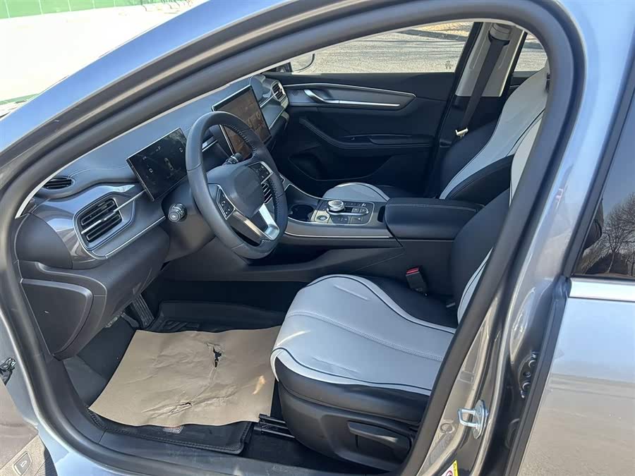 BYD Destroyer 05 2024 car image #16