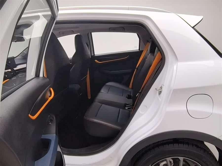 睿蓝汽车 睿蓝汽车X3 PRO 2023 汽车图片 #16