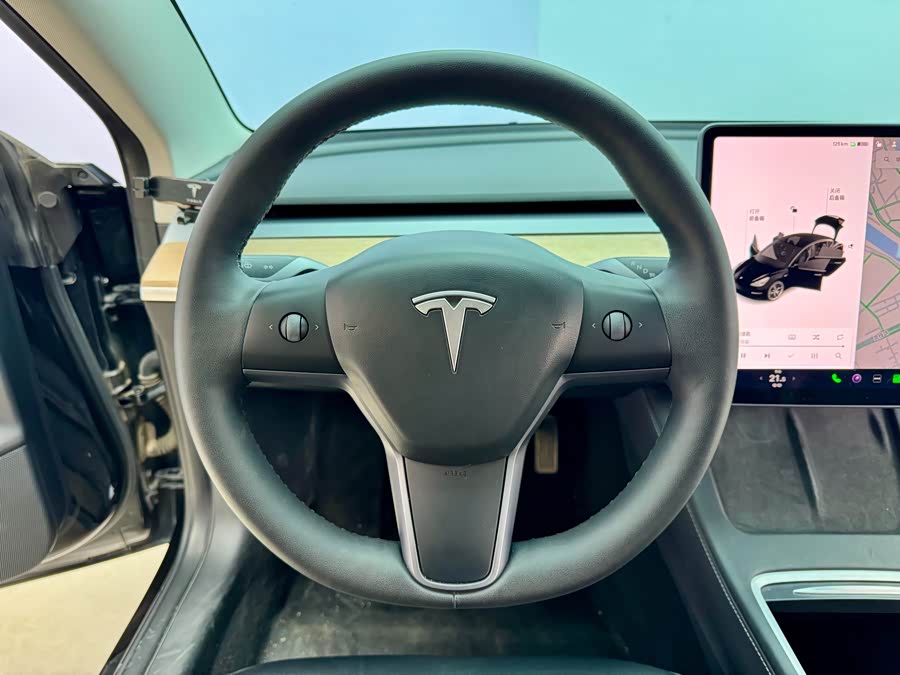 Tesla Model 3 2021 #16 Tesla Model 3 2021 car image #16