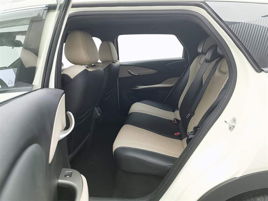 BYD Dolphin 2025 car image #16