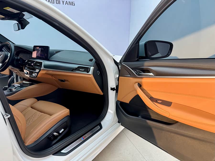 BMW 5 Series (Imported) 2021 car image #16