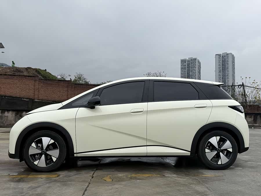 BYD Dolphin 2023 immagine di auto #16