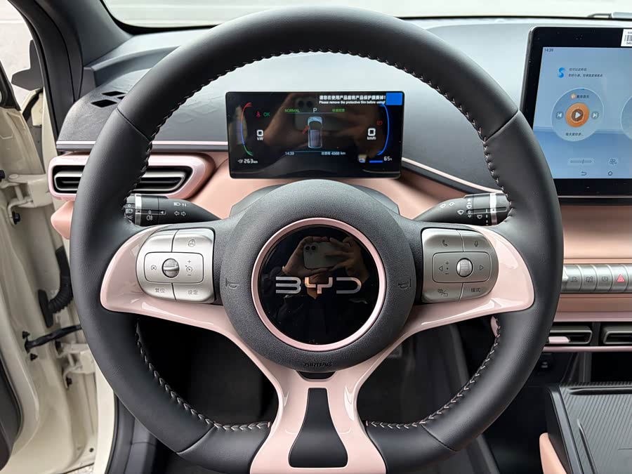 BYD Seagull 2024 #16 BYD Seagull 2024 صورة سيارة #16