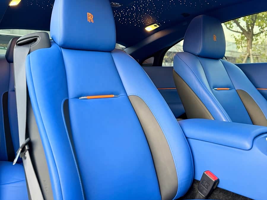 Denza Wraith 2017 car image #16