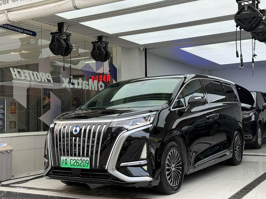 Denza D9 2023 car image #16