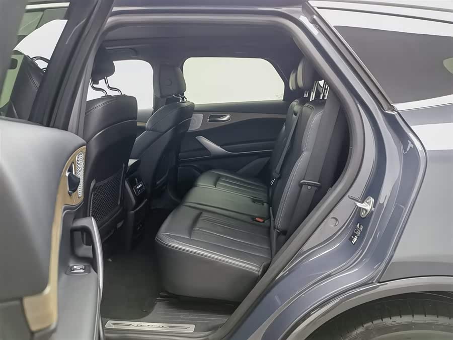 Denza X 2020 car image #16