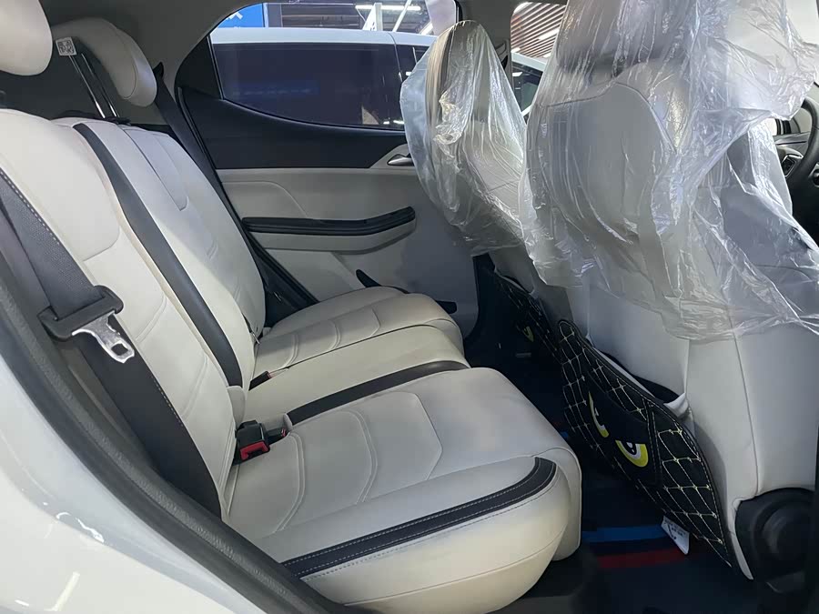 BYD Yuan Pro 2021 car image #16