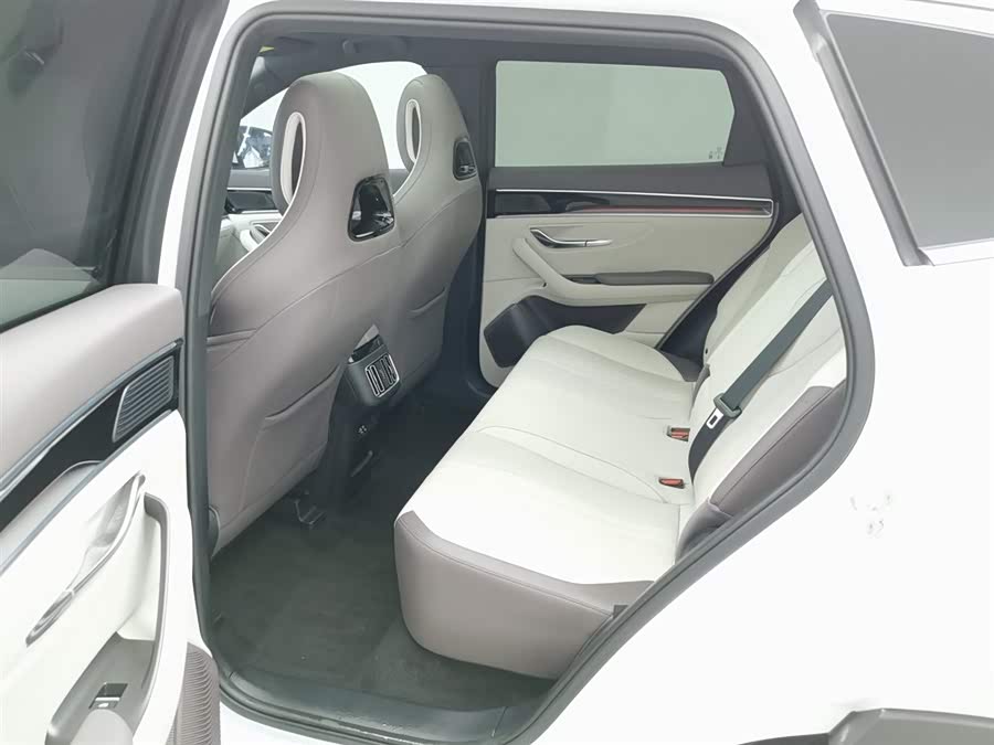 BYD Song Plus New Energy 2025 car image #16