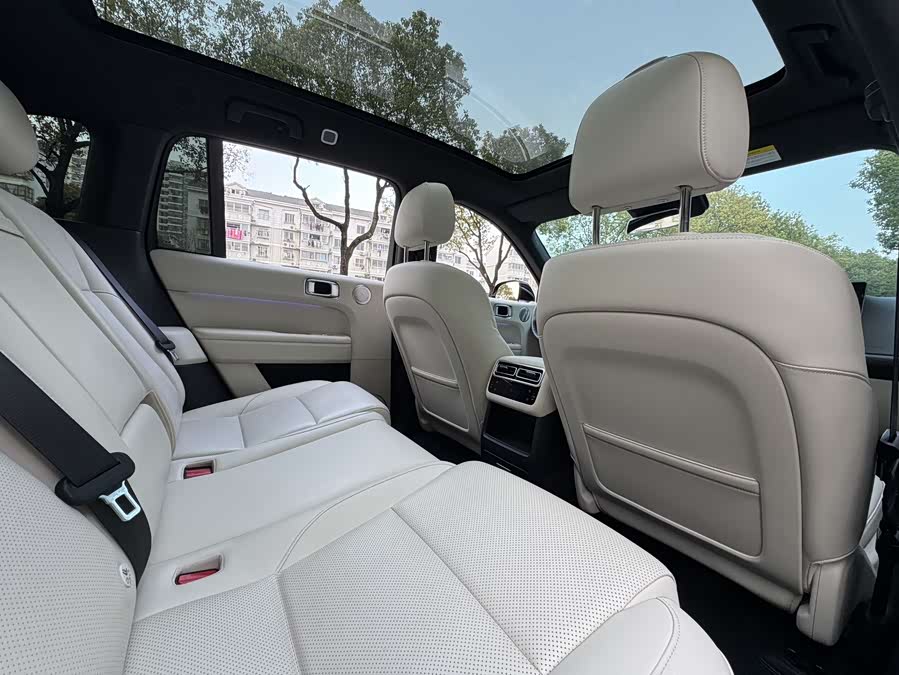 Li L6 2024 imagen de coche #16