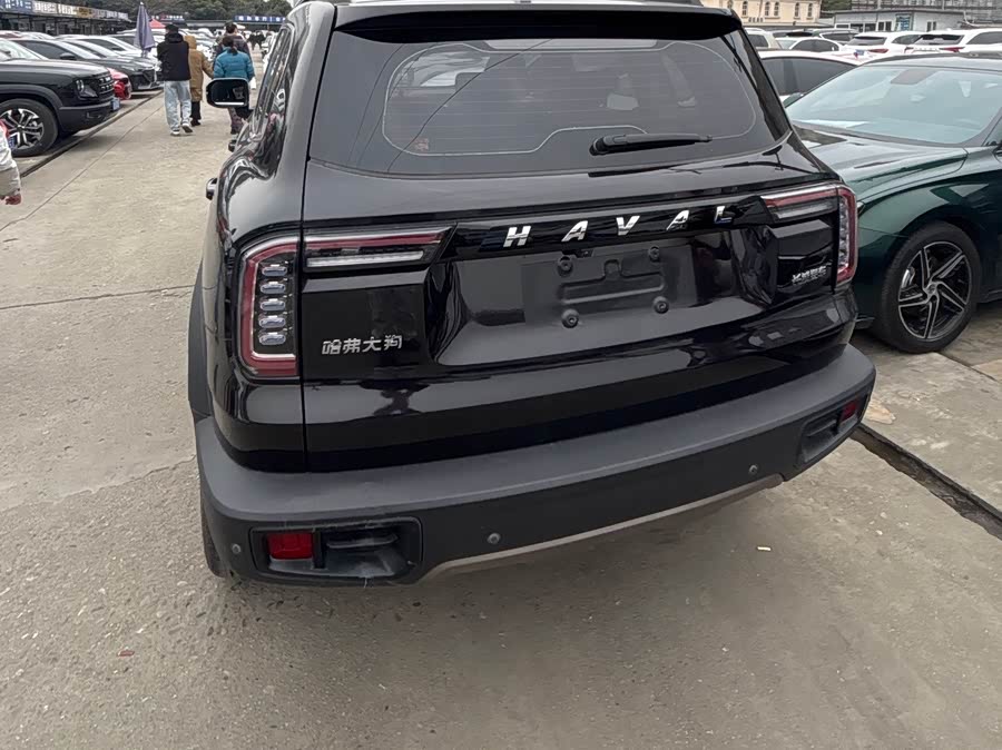 Haval X Dog / Dargo 2020 #16 Haval X Dog / Dargo 2020 car image #16