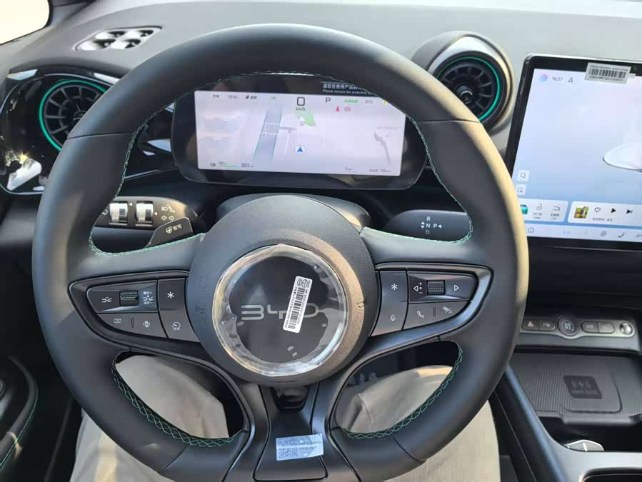 BYD Dolphin 2025 car image #16